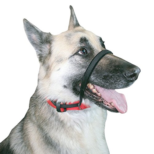 Sporn YUP! Pet Head Halter, Large, Black