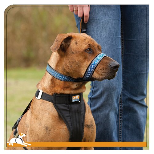 Kurgo Snout About Strap Dog Head Collar