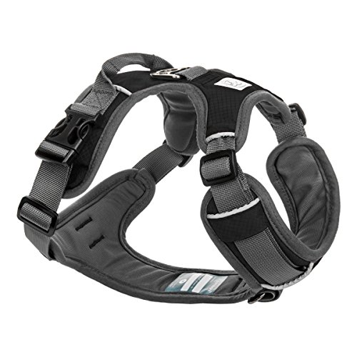 Embark Active Dog Harness
