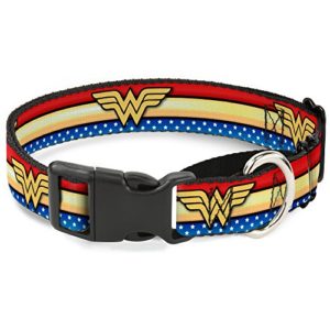 Buckle Down Martingale Dog Collar