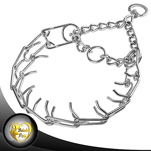 Beloved pets Prong Training Collar